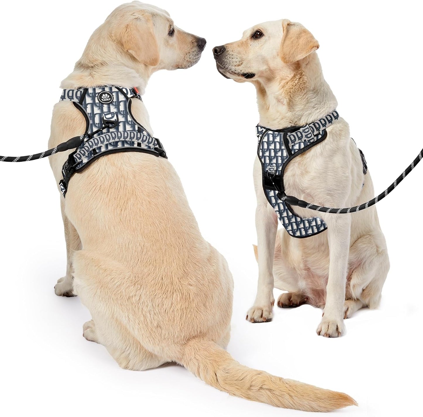 NESTROAD No Pull Dog Harness,Adjustable Oxford Dog Vest Harness with Leash,Reflective No-Choke Pet Harness with Easy Control Soft Handle for Medium Dogs(Medium,Vintage Blue)