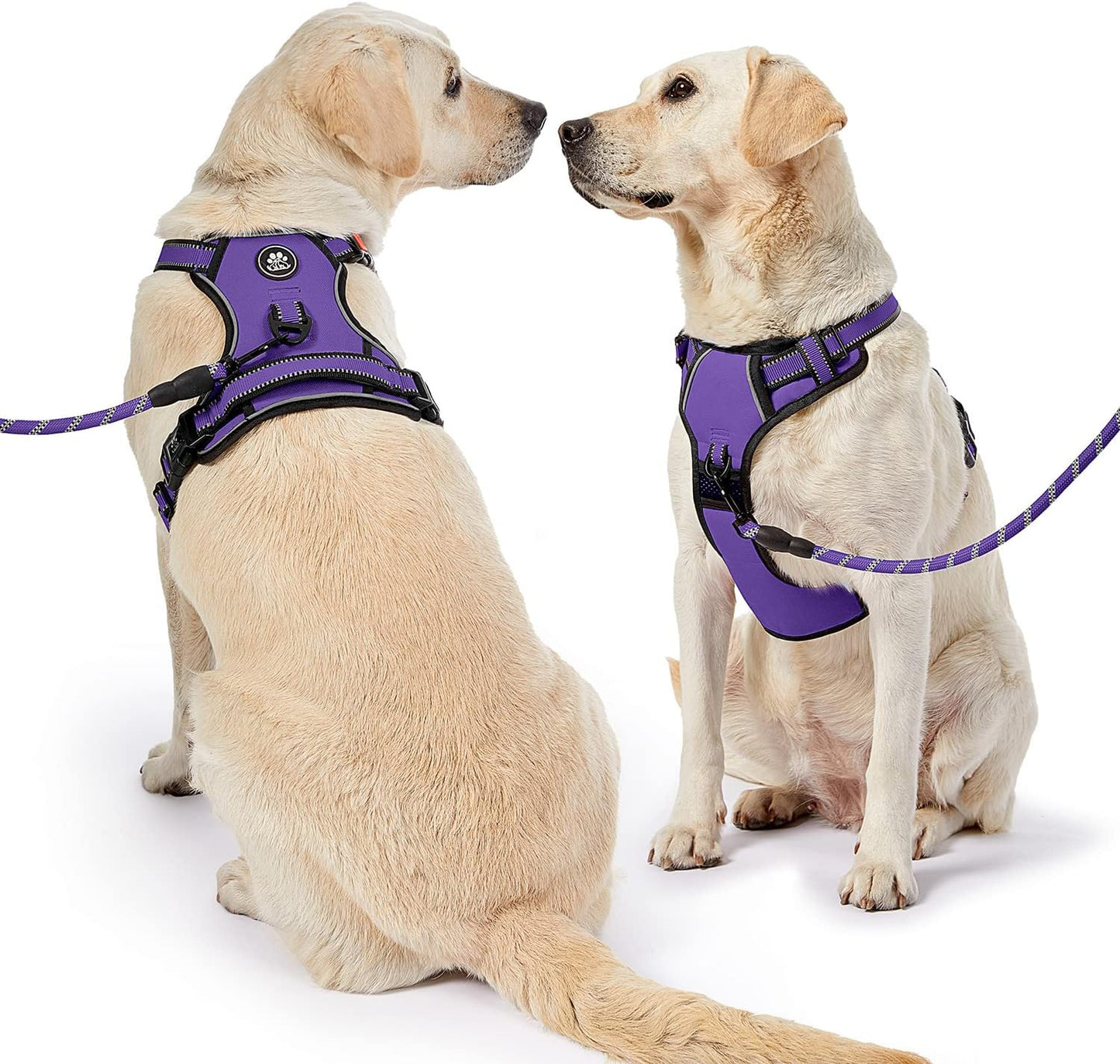 NESTROAD No Pull Dog Harness,Adjustable Oxford Dog Vest Harness with Leash,Reflective No-Choke Pet Harness with Easy Control Soft Handle for Large Dogs(Large,Purple)