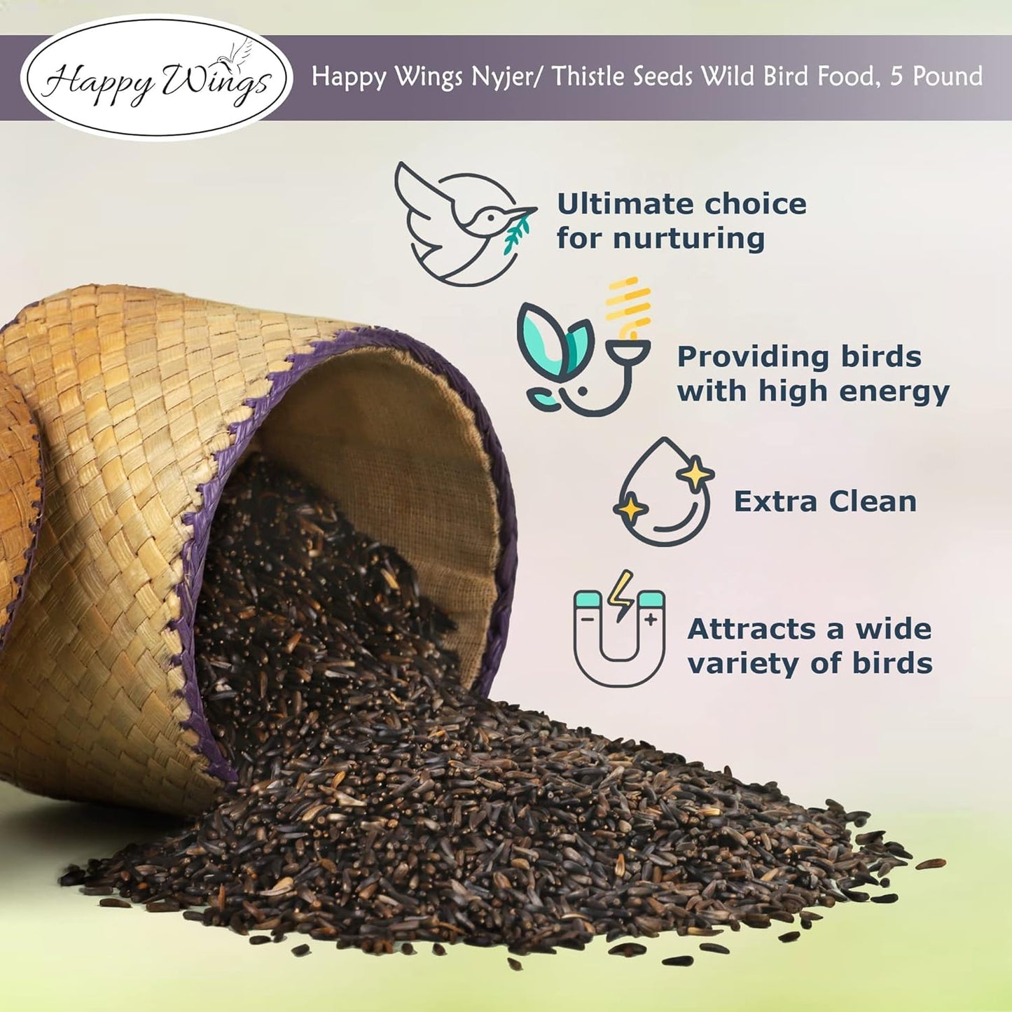 Nyjer/Thistle Seeds with Empty Sock for Wild Bird Food - 5 Pounds I No Grow Seed