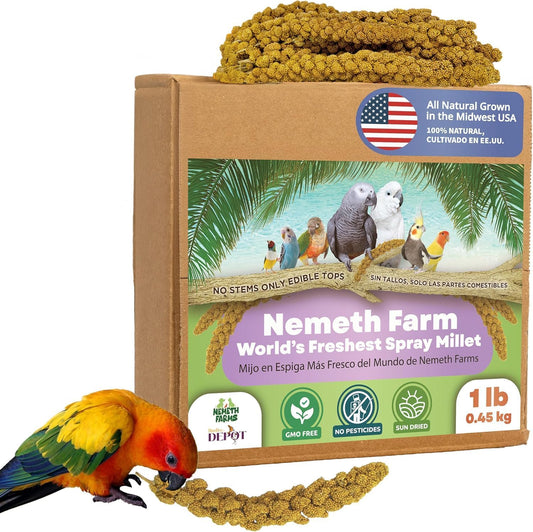 Premium Non-GMO Spray Millet Treat | Hand-Harvested Bird Snack | 100% Edible Tops | Sun-Dried Supplement for Parakeets, Cockatiels, Finches, Lovebirds, Canaries