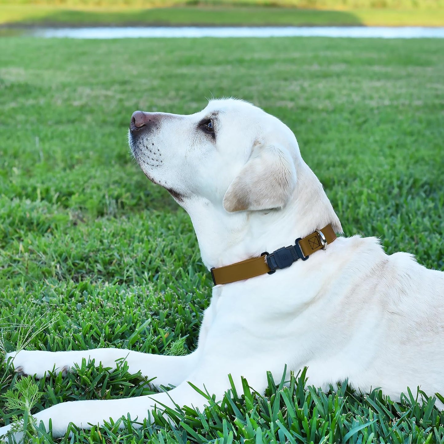 Dogline Biothane Waterproof Dog Collar with Herm Sprenger Black Stainless Steel Quick Release Buckle – Heavy Duty Tactical Durable Collar for Dogs – Comfortable and Safe Pet Collar W3/4" L12-19 Brown