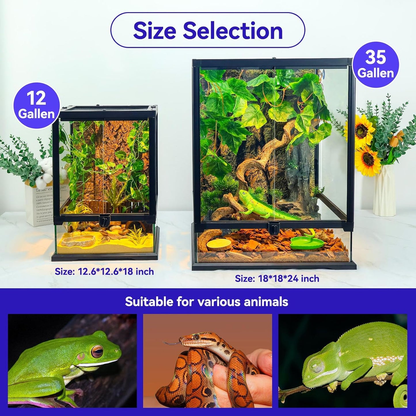 360° Clear View 12 Gallon 18x12.6x12.6 Glass Reptile Terrarium Suitable for Bearded Dragon, Chameleon, Crested Gecko, Multi-Pet Enclosure with Front Door, Excellent Ventilation, Hidden Wiring Holes