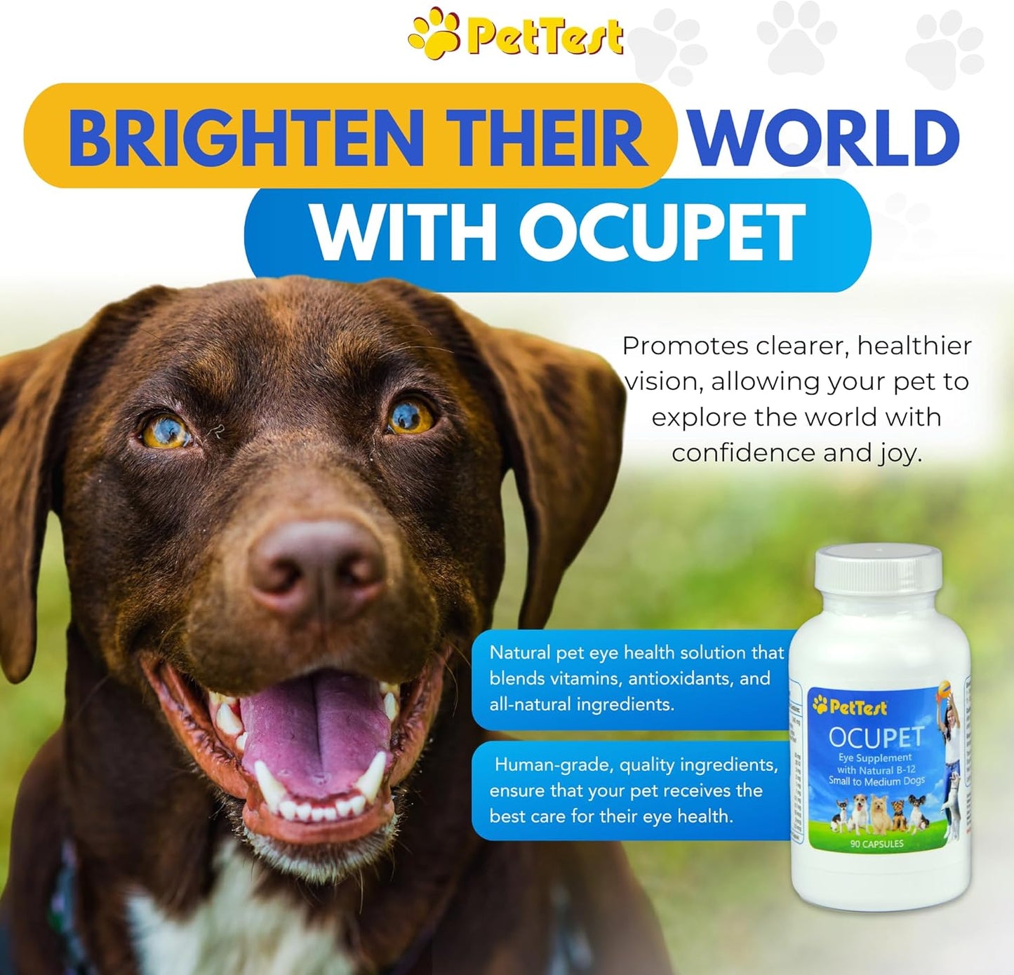 Ocupet Advanced Vision & Eye Health Supplement for Cats & Small-Medium Dogs, Packed with Natural B12, Grape Seed Extract & Lutein to Support Pets with Diabetes or Eye Related Conditions-90 Capsules