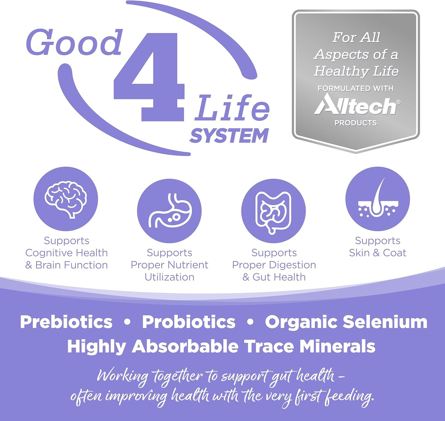 NutriSource Element Series Upland Stream Dry Dog Food, Quail, Rabbit & Trout, 24LB