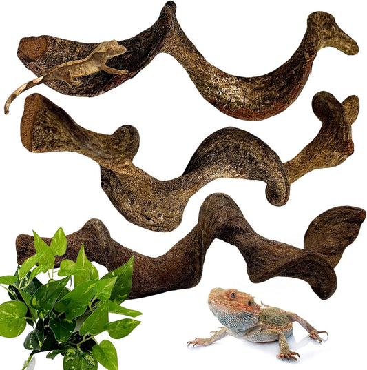 BNOSDM 3Pcs Reptile Climbing Branches Decor,Snake Climbing Branch,Gecko Climb Wood,Lizard Forest Branch,Tank Habitat Tree Trunk Decorations for Bearded Dragons,Chameleons,Spider,Frogs (M)
