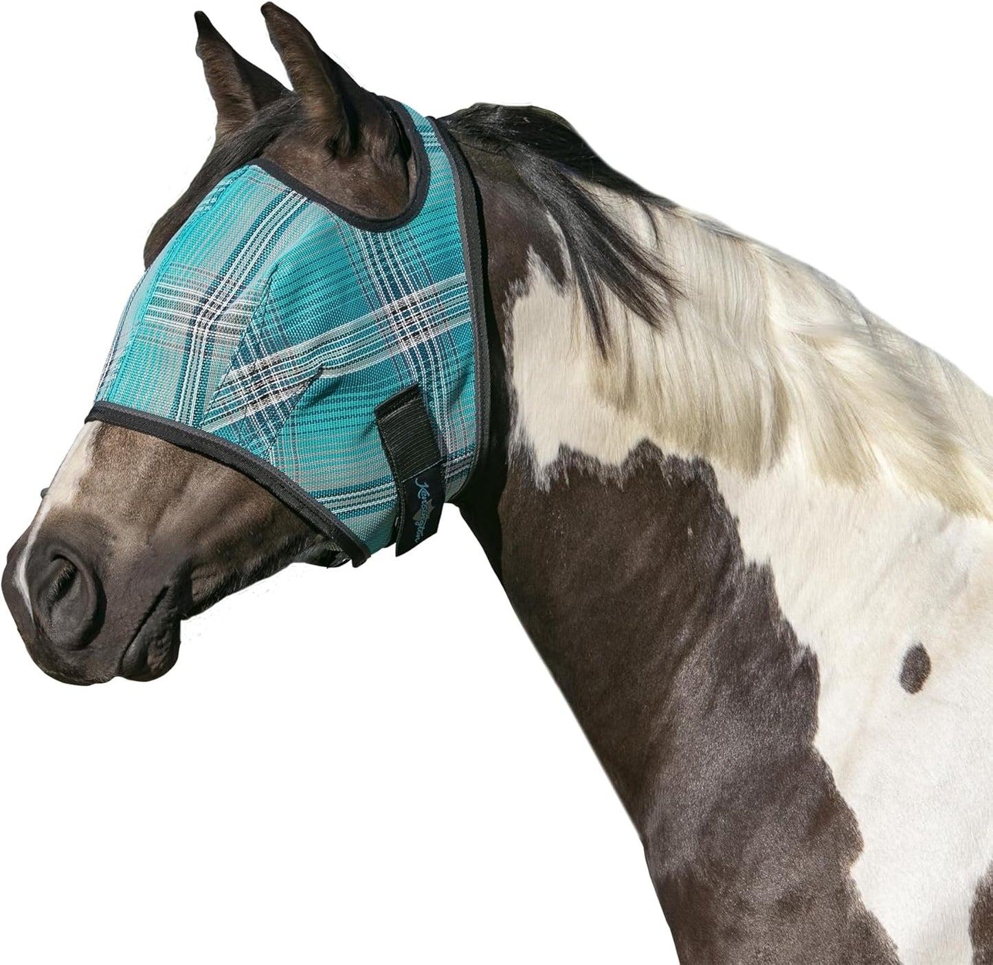 Kensington Fly Mask Web Trim Protects Horses Face and Eyes from Bites and Sun Rays While Allowing Full Visibility Ears and Forelock Able to Come Through The Mask, Small, Atlantis