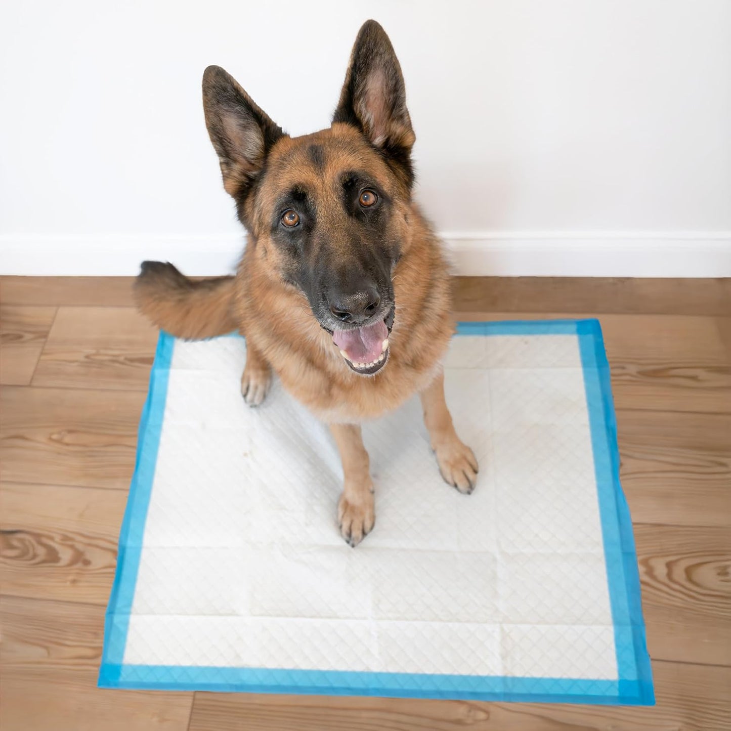 Four Paws Wee-Wee Superior Performance Pee Pads for Dogs with Runoff Barrier Edge Guard Protection, Puppy & Dog Potty Training Pads, Housebreaking Supplies, 28" x 34" (75 Count)