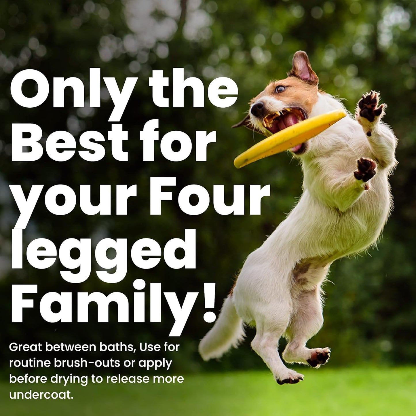 Best Shot Pet Ultra Vitalizing Mist Detangler, 1 gallon