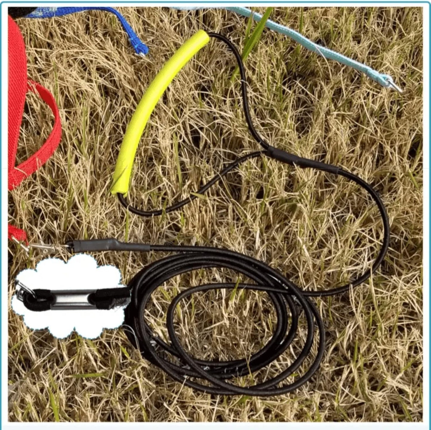 Pet Parrot Bird Harness Leash Adjustable Bird Flying Harness Traction Rope with Cute Wing for Parrots Pigeons Budgerigar Lovebird Cockatiel Mynah Outdoor Training Toy (M, Yellow)