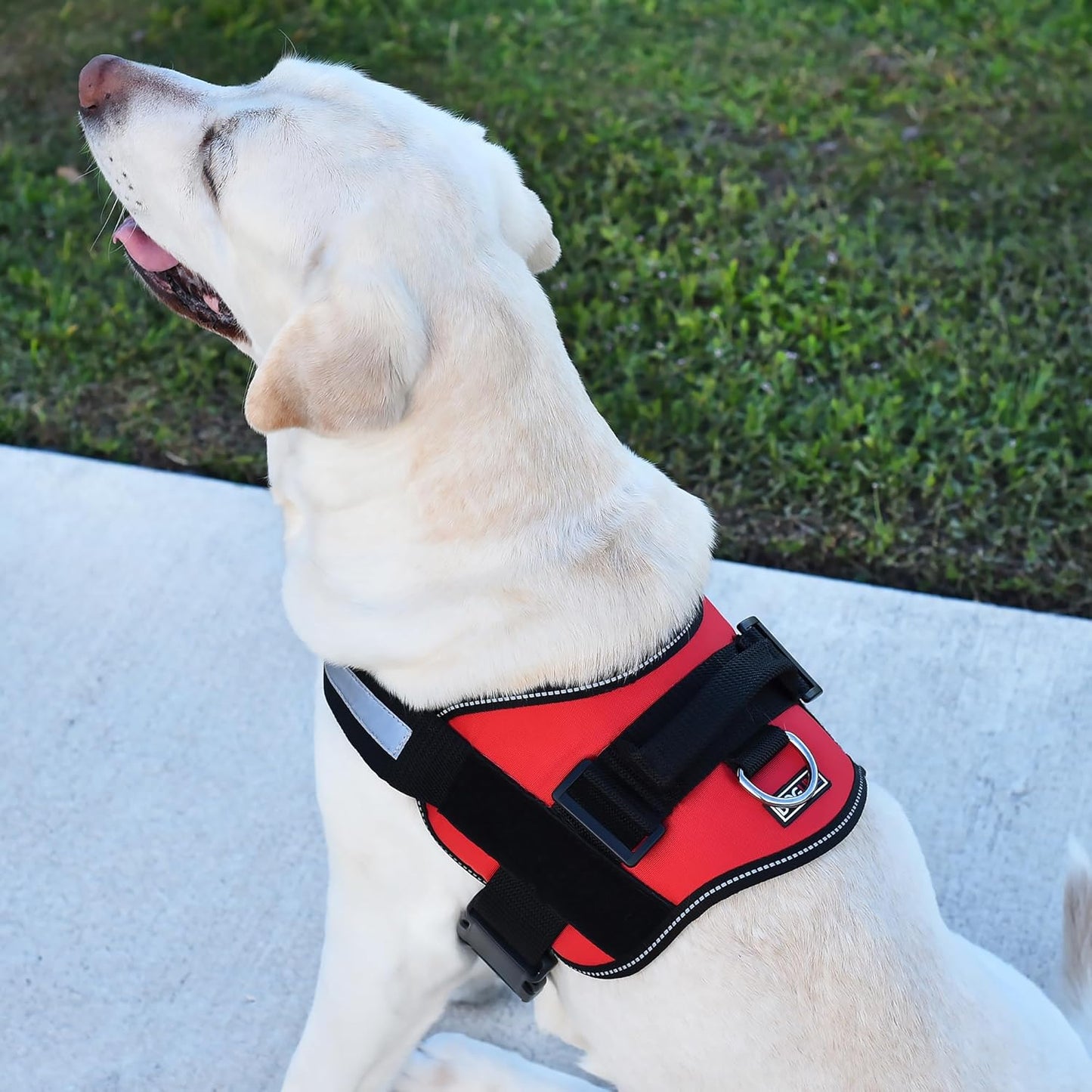 Dogline Dog Harness, Reflective No-Pull Adjustable Vest with Handle, Breathable No-Choke Harness for Small, Medium or Large Dogs Room for Patches Girth 27 to 34 in Red