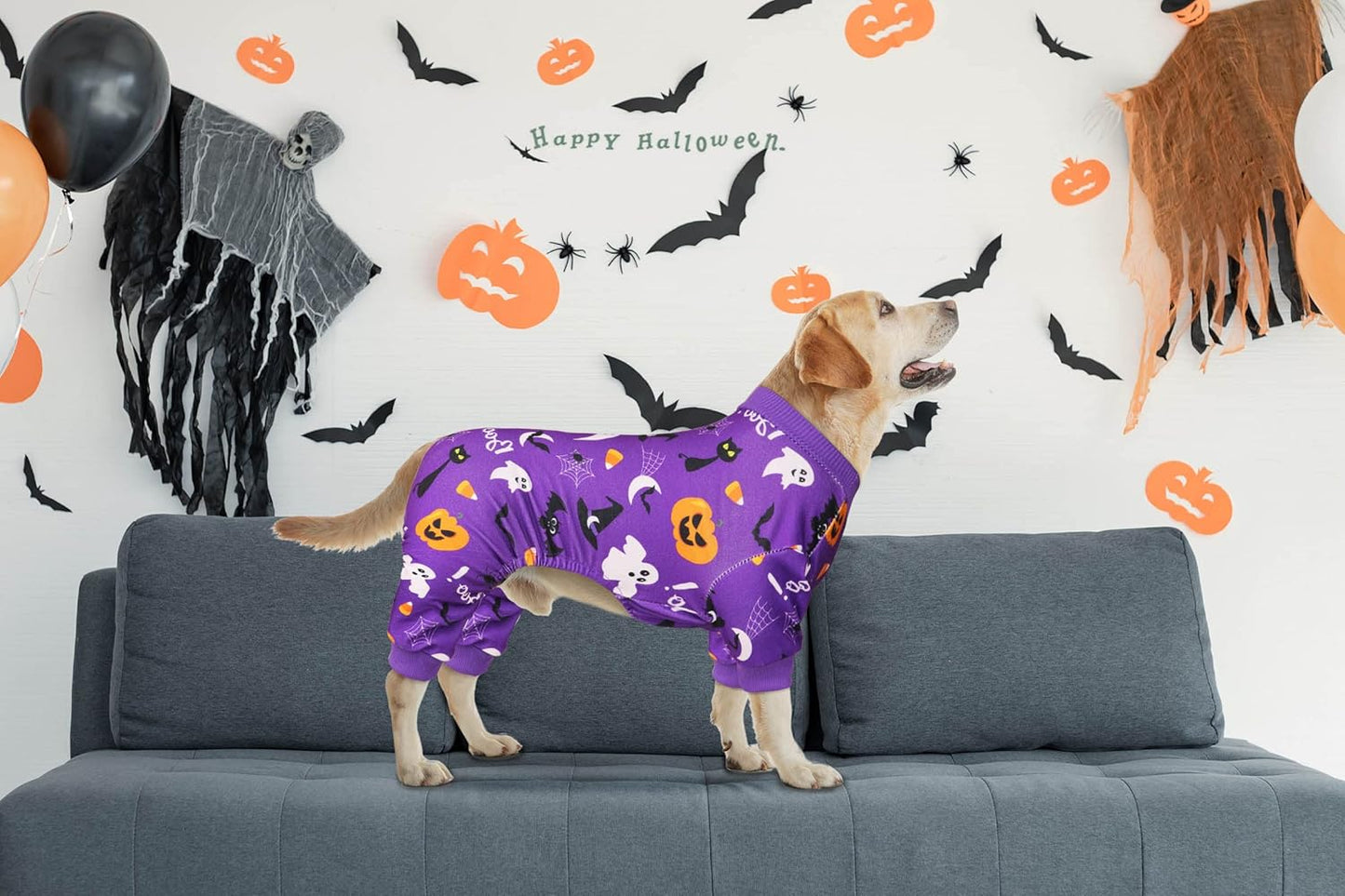 Dog Halloween Pajamas Dog Costumes Pjs Stretchy Funny Costumes Pet Clothes Outfit Pajamas for Small Dogs Puppy Cat(S)