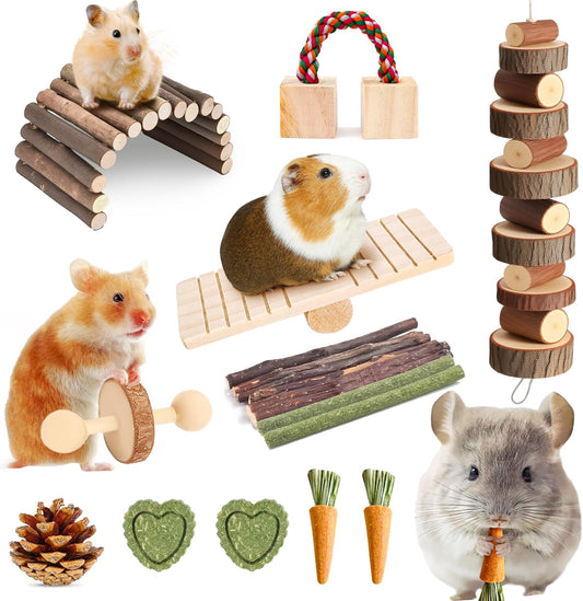18 PCS Hamster Chew Toys Set, Natural Apple Wood Guinea Pig Toys, Hamster Cage Accessories Include Bridge, Seesaw, Carrot, Timothy Straw Stick Dental Care for Rat Gerbil Chinchilla Rabbits