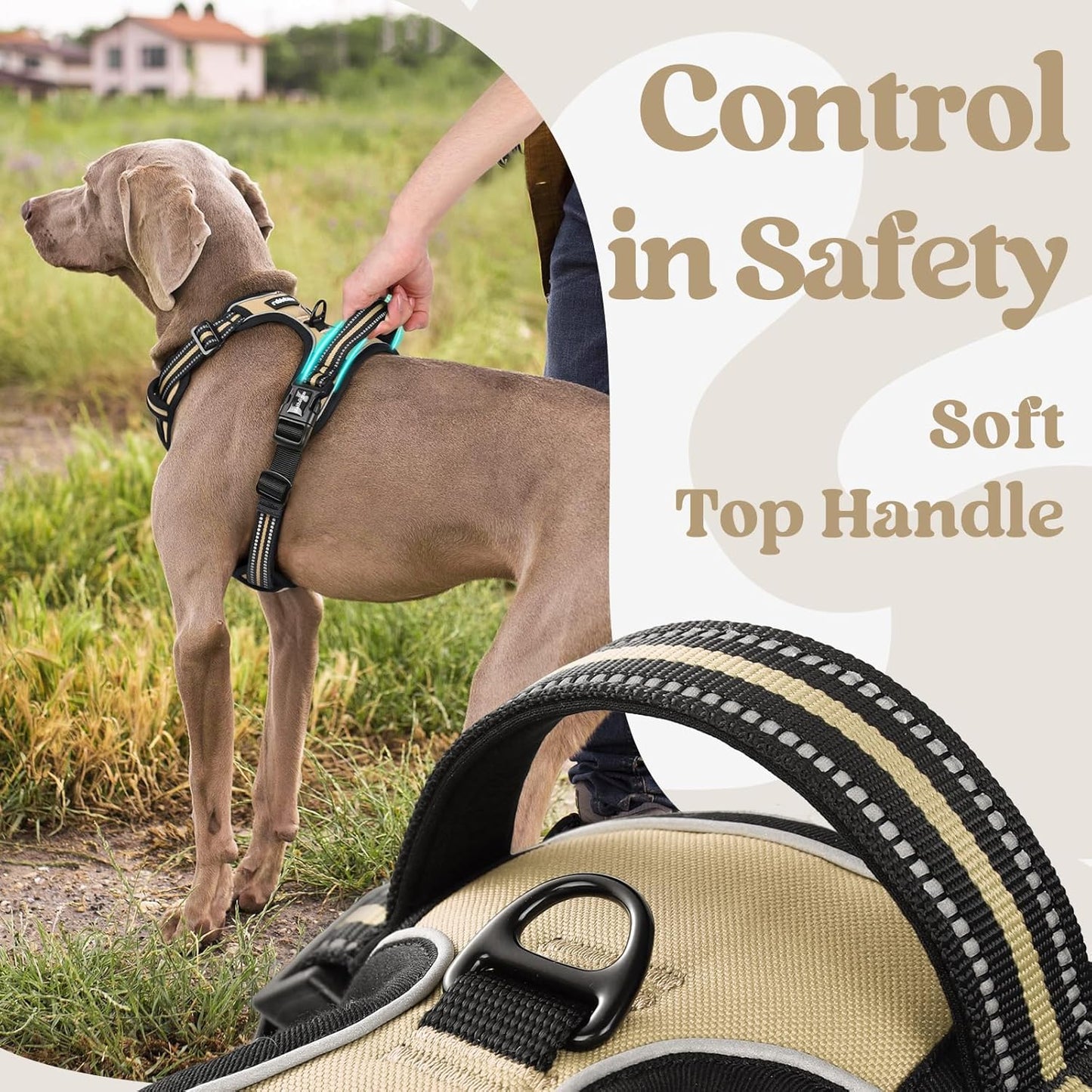 rabbitgoo Dog Harness Medium Sized, No Pull Pet Harness with 3 Buckles, Adjustable Soft Padded Vest with Control Handle, Walking Reflective Pet Vest for Medium Dogs, Beige, M