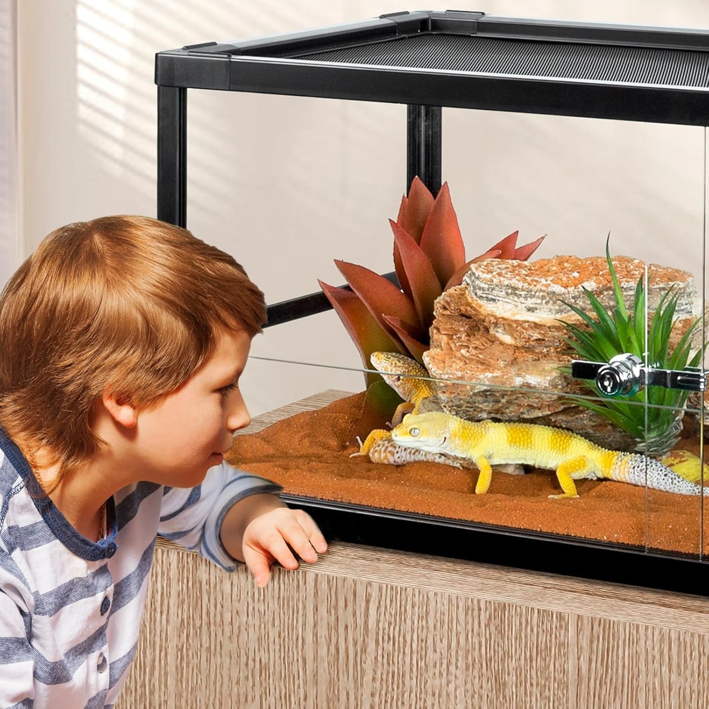 20 Gallon Reptile Tank, 30" x 12" x 12" Reptile Terrarium, Top Screen Ventilation, Sliding Door, Cable & Fogger Pass, Glass Enclosure for Bearded Dragon, Lizard, Gecko, Frog, Snake