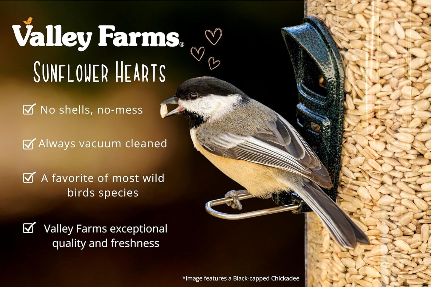 Valley Farms Whole Sunflower Hearts for Birds, Girasol Kernels Wild Bird Food, No Mess Wild Bird Seed for Outside Feeders (4 LBS)