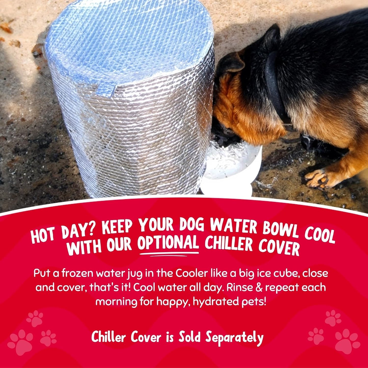 Pet Gravity Water Dispenser: 5 Gallon. for Dogs, Cats, Goats, Small Animals. Quiet, No BPA and Made in USA. Ideal Dog Bowl Large Breed. Best Automatic Waterer.