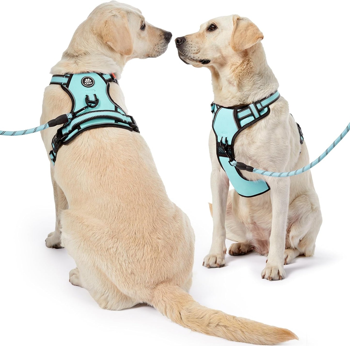 NESTROAD No Pull Dog Harness,Adjustable Oxford Dog Vest Harness with Leash,Reflective No-Choke Pet Harness with Easy Control Soft Handle for Large Dogs(X-Large,Turquoise)