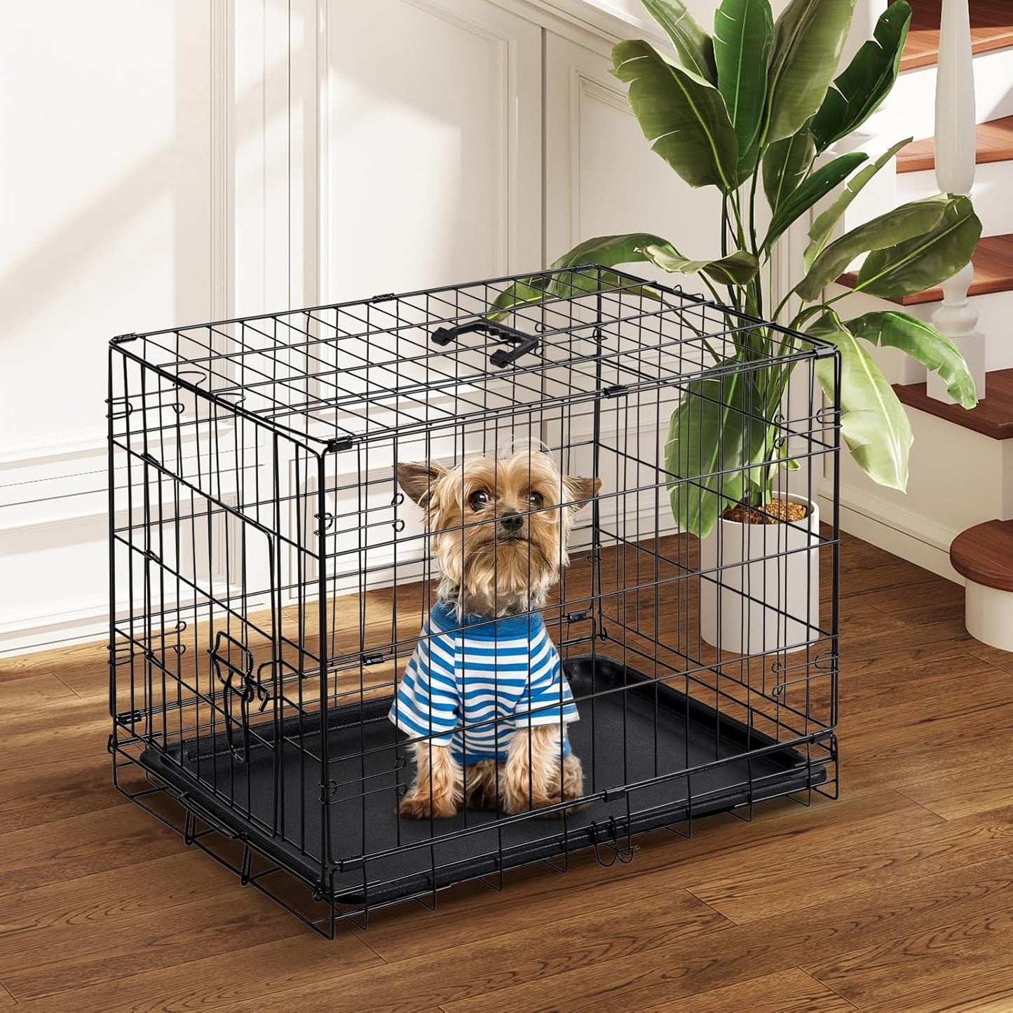DUMOS Dog Crate, 24 Inch Medium Single Door Dog Cage with Divider Panel and Plastic Leak-Proof Pan Tray, Folding Metal Wire Pet Kennel for Indoor, Outdoor, Travel