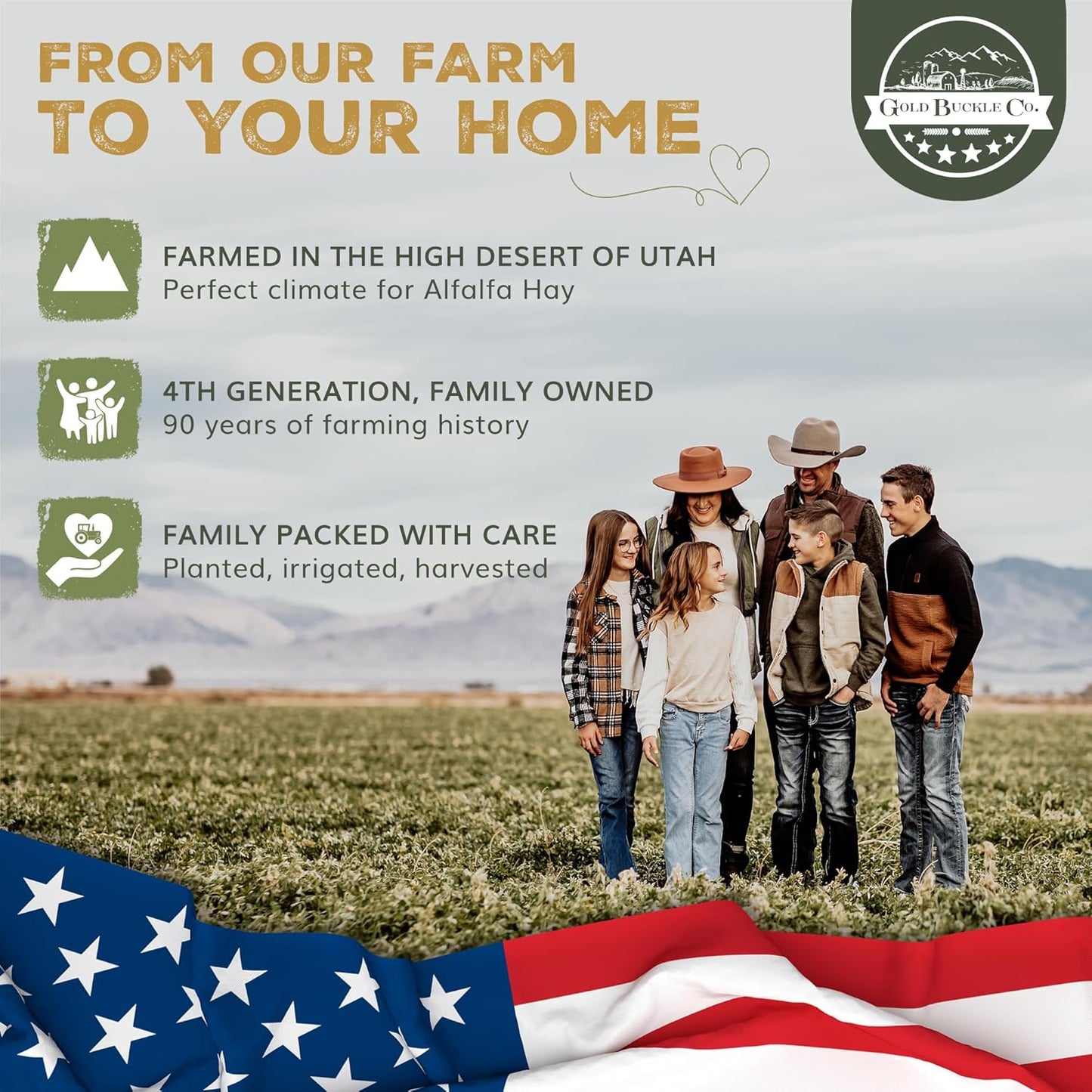 10lb Freshly Dried Organic Alfalfa Hay for Guinea Pigs, Rabbits, Chinchillas, Goats, Hamsters & Ferrets, Small Animal Food Rich in Protein & Fiber, Hand-Selected, Hand sorted, USA Grown