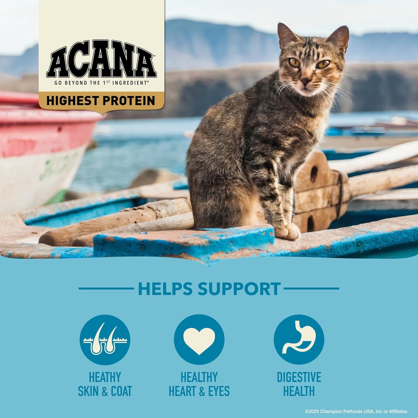 ACANA Grain-free Dry Cat Food Wild Atlantic Saltwater Fish with Freeze-Dried Liver 10lb Bag