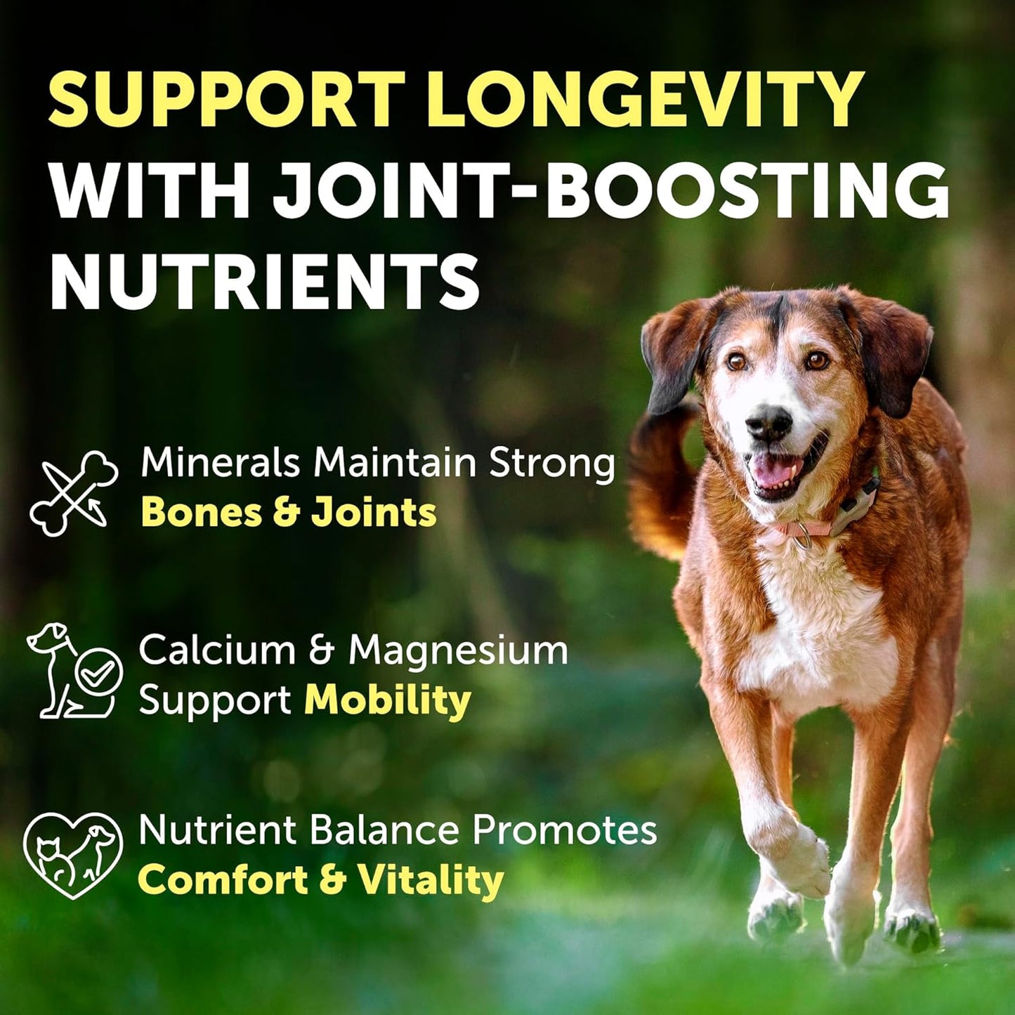 Nature's Protection Hip and Joint Supplement for Dogs - Senior Dog Mineral Supplement Powder for Bone Strength, Energy Boost, and Gut Health for Dogs & Cats of All Breeds, 9 Oz