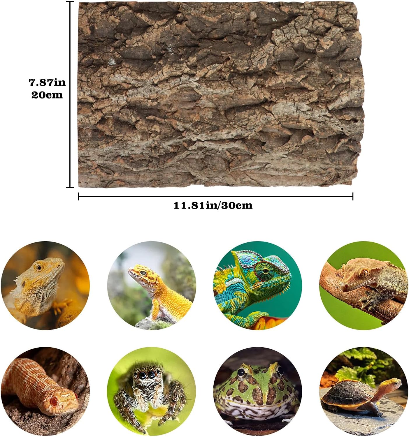 2 Pack Cork Bark Background for Reptiles Tank & Terrarium, 11.8 × 7.9 Inch Reptile & Amphibian Climbing Wall, Aquarium Decor Accessories for Turtle Bearded Dragon Chameleon Snake Lizard Hermit Crab