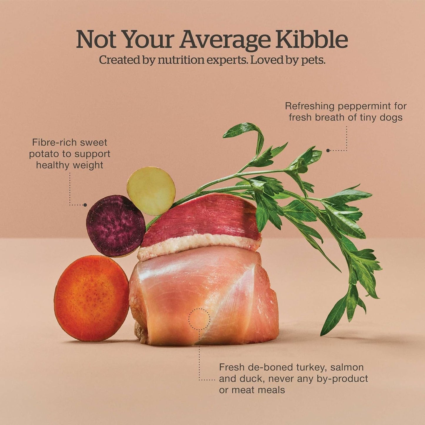 Now Fresh Grain-Free Small Breed Dry Dog Food with Turkey, Salmon & Duck, Healthy Kibble for Adults Made with Real Meat & Fish, Chicken-Free Recipe, Pumpkin & Probiotics for Good Digestion, 22 lb Bag