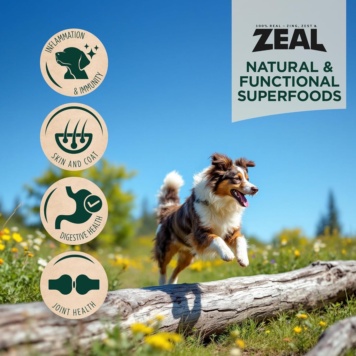 ZEAL Canada Air-Dried Turkey Recipe for Dogs - High Protein, Natural Superfoods, Nutrient Rich, No Fillers, Grain Free, Complete & Balanced (Turkey, 1 lb)