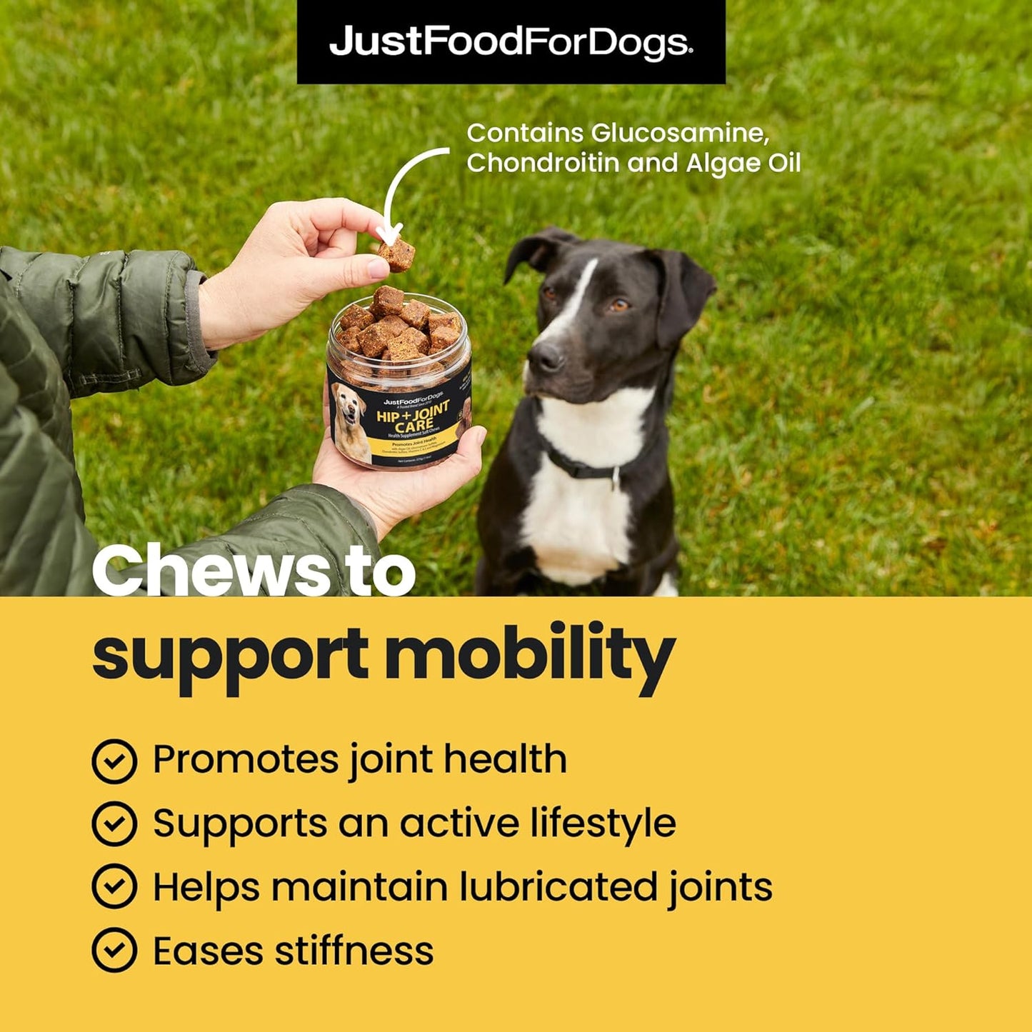 JustFoodForDogs Hip + Joint Soft Chews Mobility Supplement for Dogs with Glucosamine and Chondroitin, Superfood Blend, Human Grade, Plant-Based - 45 Count