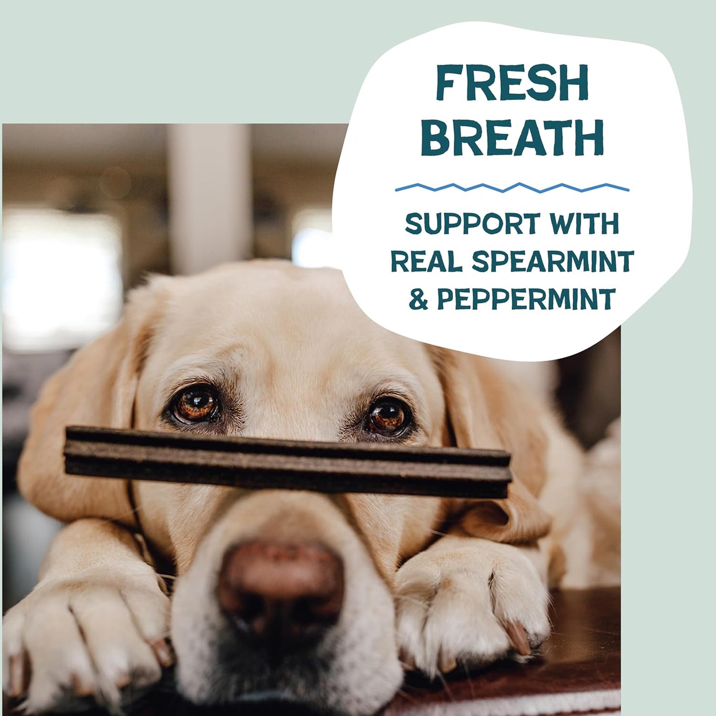 Shameless Pets Dental Chews for Dogs, Mighty Mint Dental Sticks, Healthy Treats for Teeth Cleaning & Fresh Breath - Free from Grain, Corn, & Soy for Small Dogs, 32 Sticks