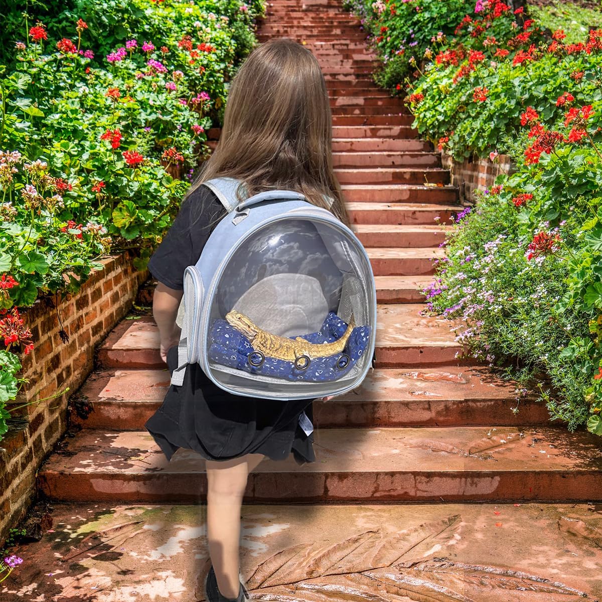 Hamster Backpack Carrier, Bearded Dragon Carrier Backpack with Clear Bubble Window,Small Animal Travel Backpack for Sugar Glider Hedgehog Rat Parrot, Airline Approved (Blue, Backpack)