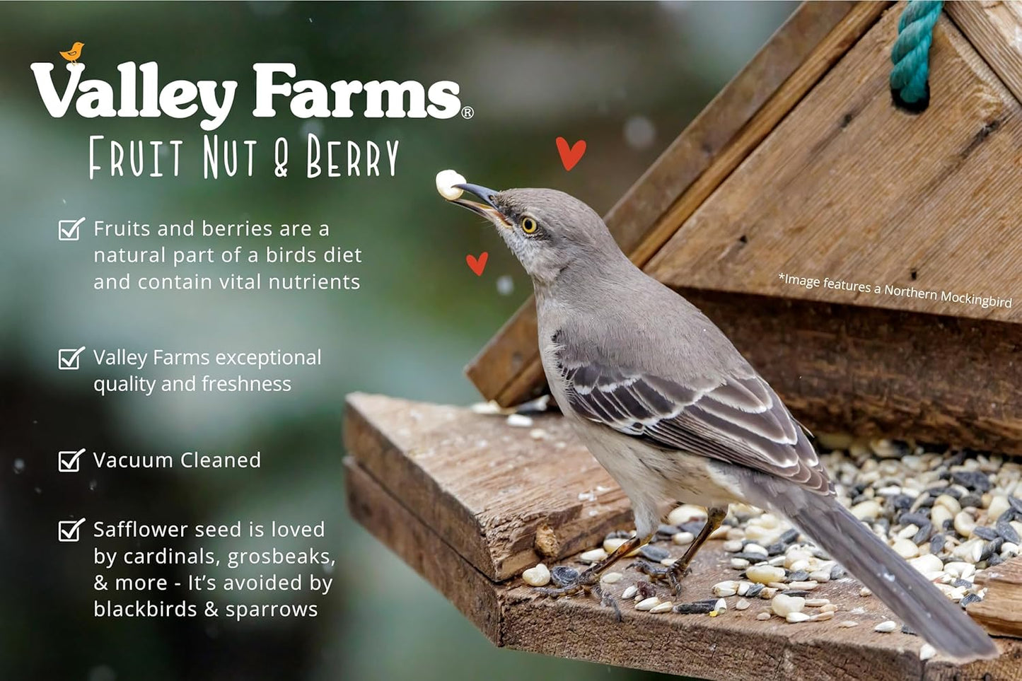 Valley Farms Fruit Nut & Berry (4 LB) Wild Bird Food Outside Feeders, Bird Seed with Dried Fruit, Peanuts, Sunflower, and Safflower, High Energy Mix for Healthy Birds!