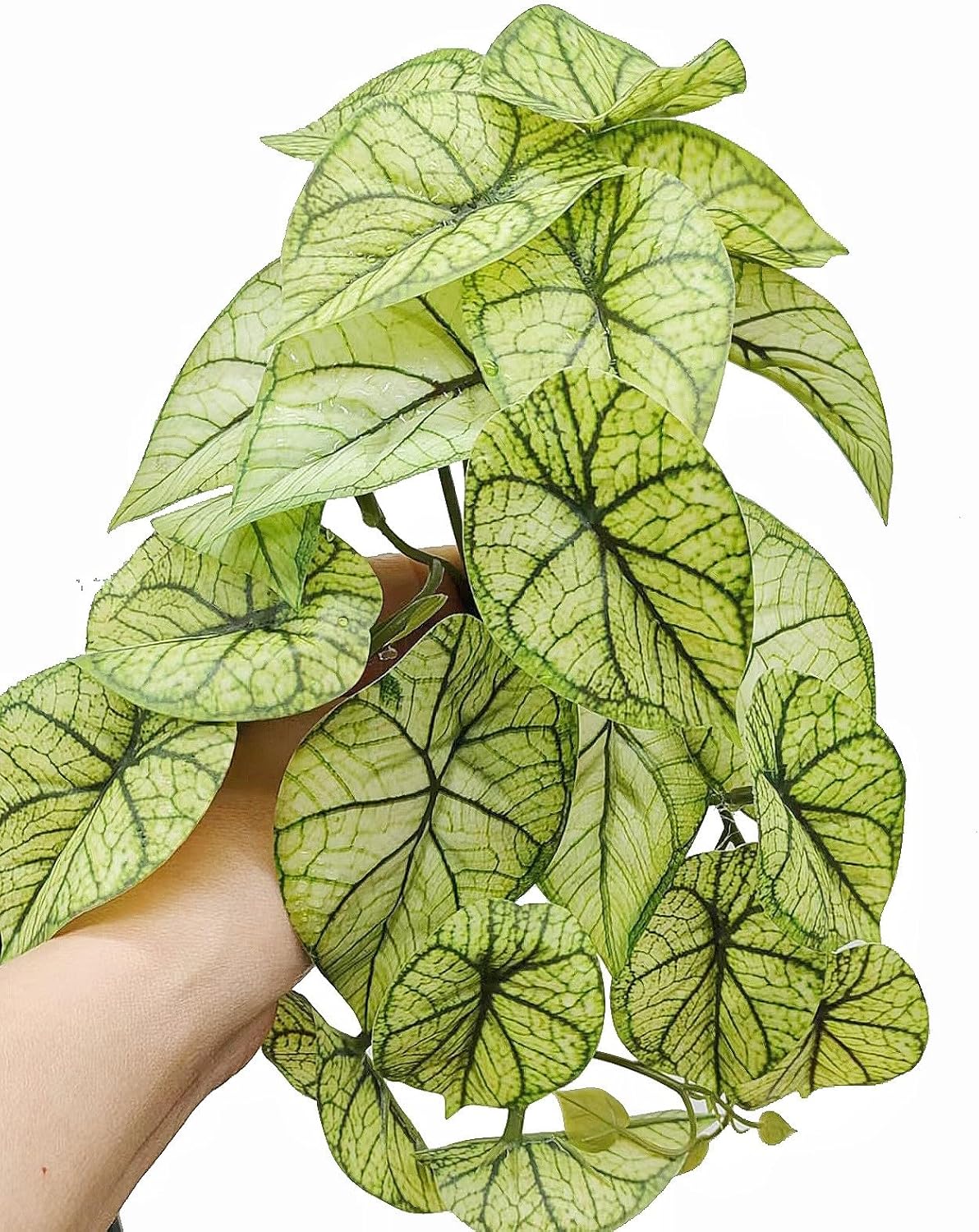 Reptile Plants for Terrarium Decor, Amphibian Habitat Decor, Reptile Tank Accessories, Artificial Hanging Plants with Suction Cup-2 Packs (Green Arrowhead)