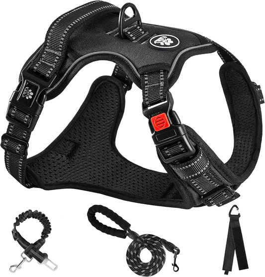NESTROAD No Pull Dog Harness,Adjustable Oxford Dog Vest Harness with Leash,Reflective No-Choke Pet Harness with Easy Control Soft Handle for Small Dogs(Small,Black)