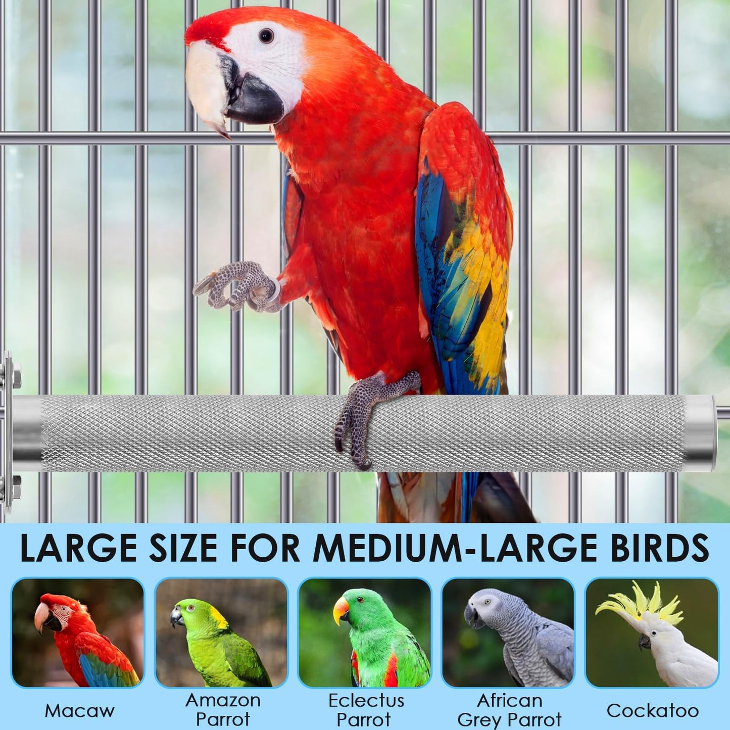 KATUMO Parrot Perch - Stainless Steel African Grey Perch Bird Cage Accessories for Small to Large Parrots (11.8 x 1.2 inch)