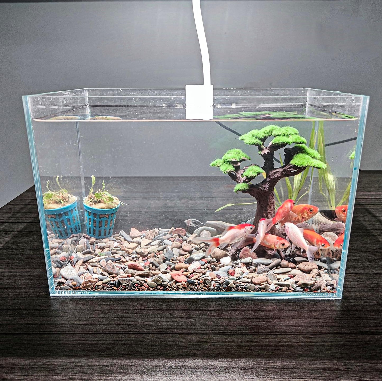 Novelsite Fish Tank Decor- Small Bonsai Trees with Faux Moss- Aquarium Decoration Aqua scaping- Made of Sandstone, Goldfish Betta Fish Tank Decorations