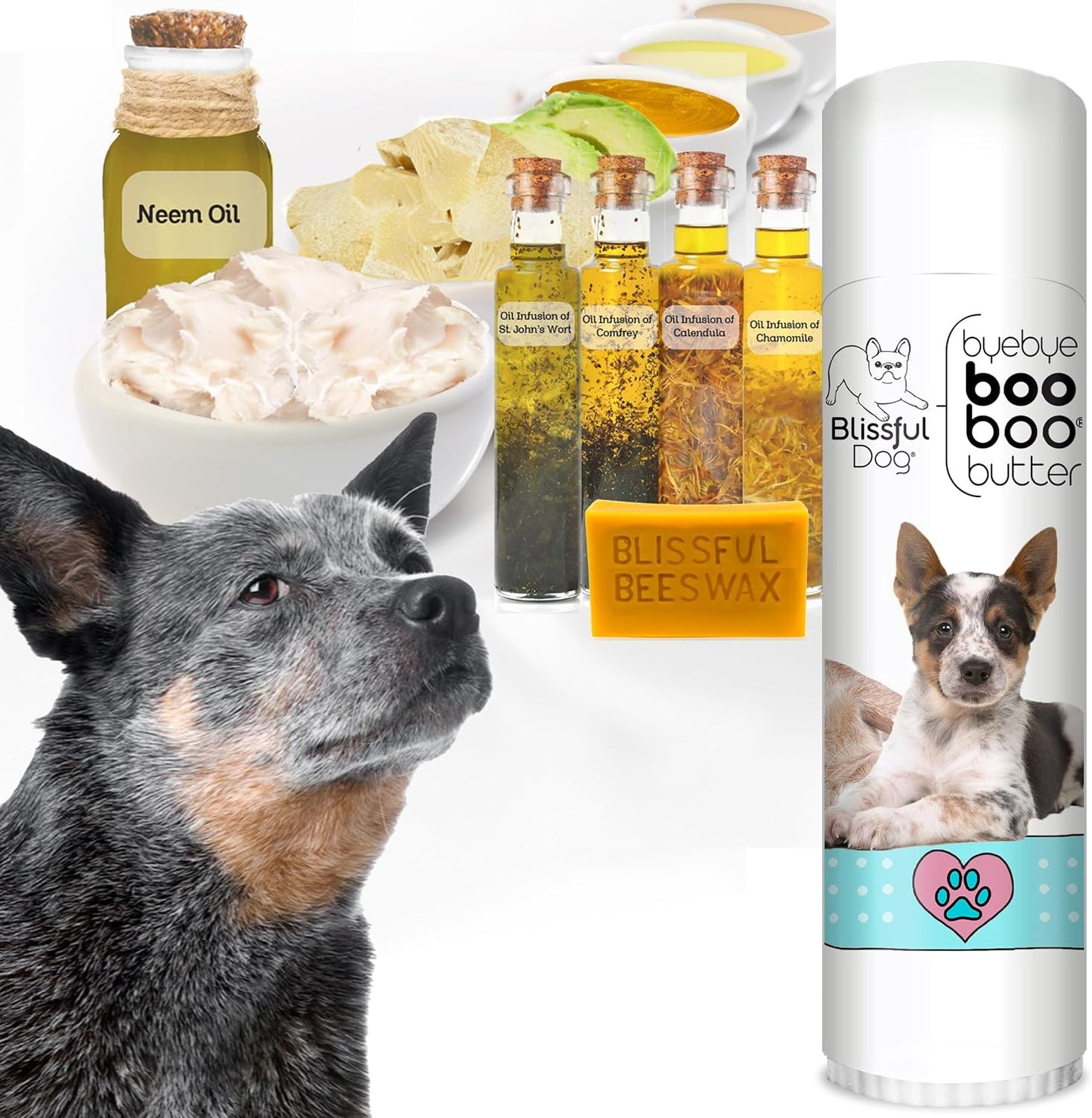 The Blissful Dog .50 oz Tube AUSTRAILIAN Cattle Dog Booboo Butter