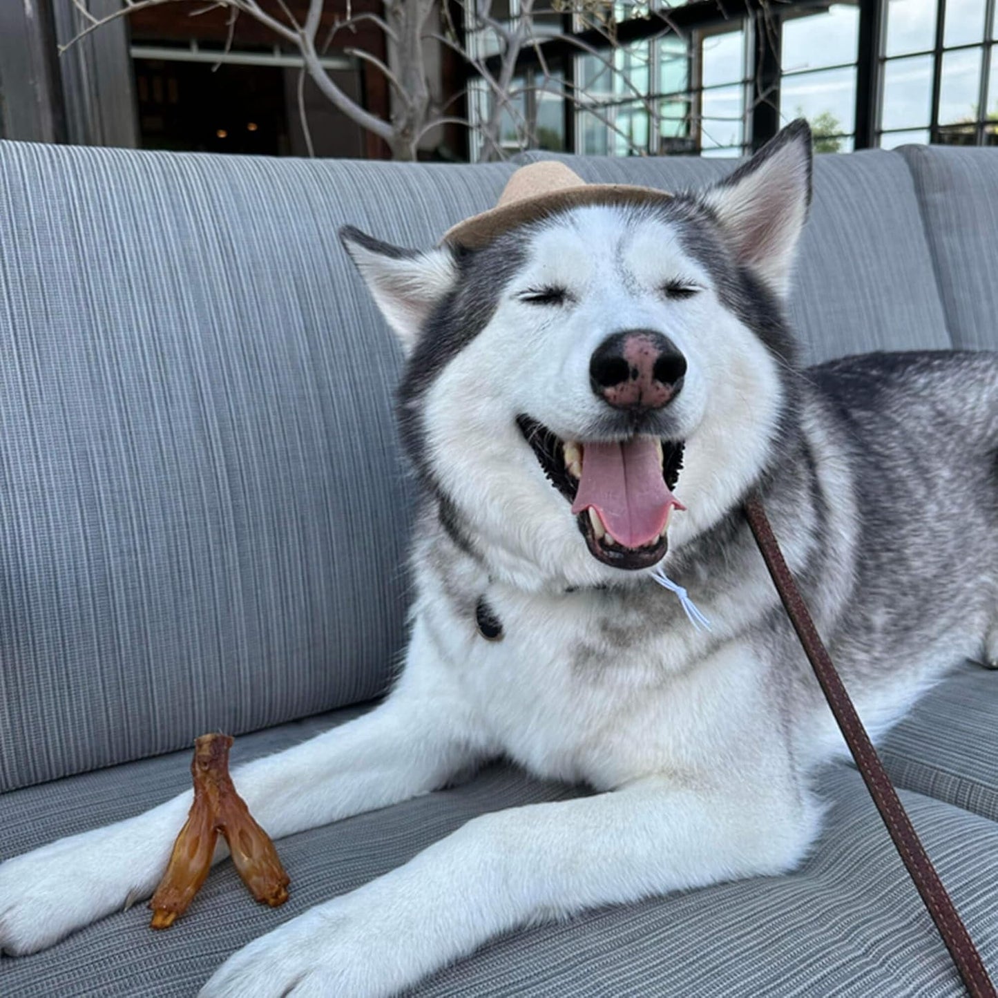 Pupford Turbo Beef Tendon Chews for Dogs & Puppies, All-Natural Dog Chew with Glucosamine for Joint Health, Long-Lasting Toy, Great for Teething (3 Count)