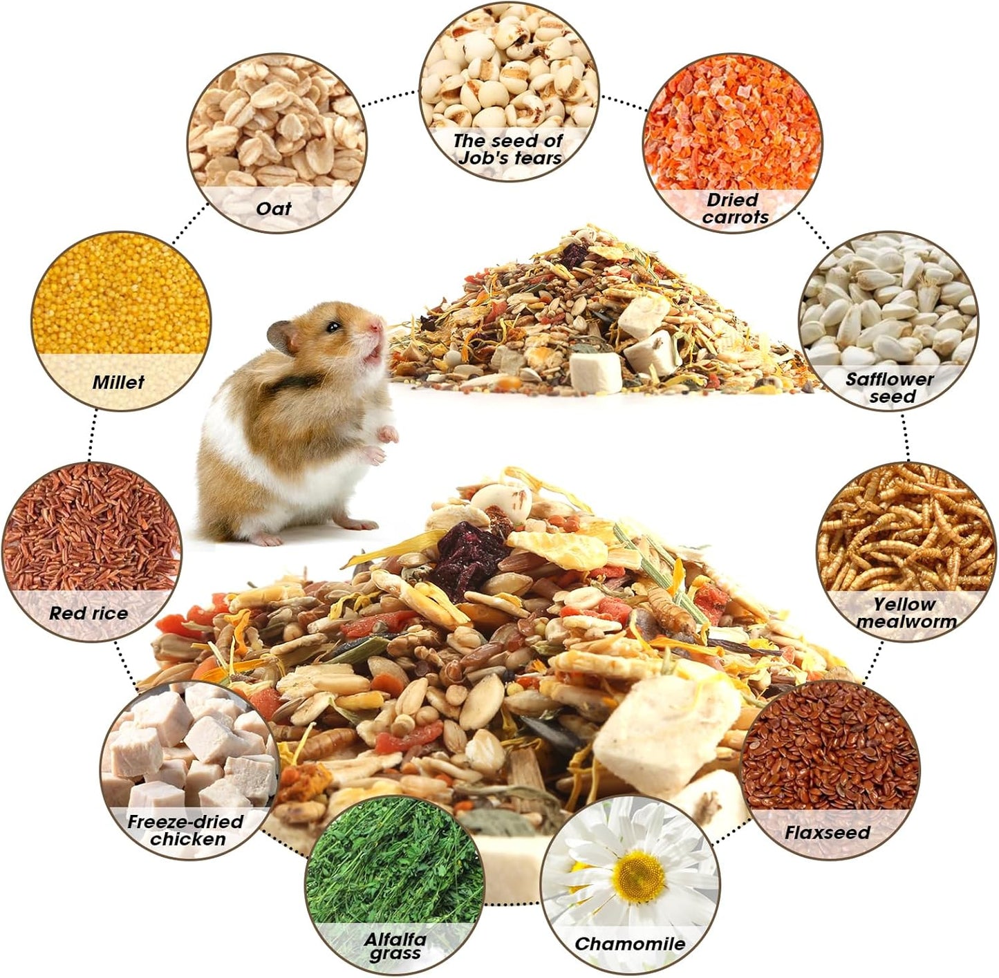 Gourmet Hamster & Gerbil Food, Dry Food for Hamsters-Supports Healthy Digestion and Healthy Teeth Unique Edible Treats for Guinea Pigs, Hamsters, Gerbils