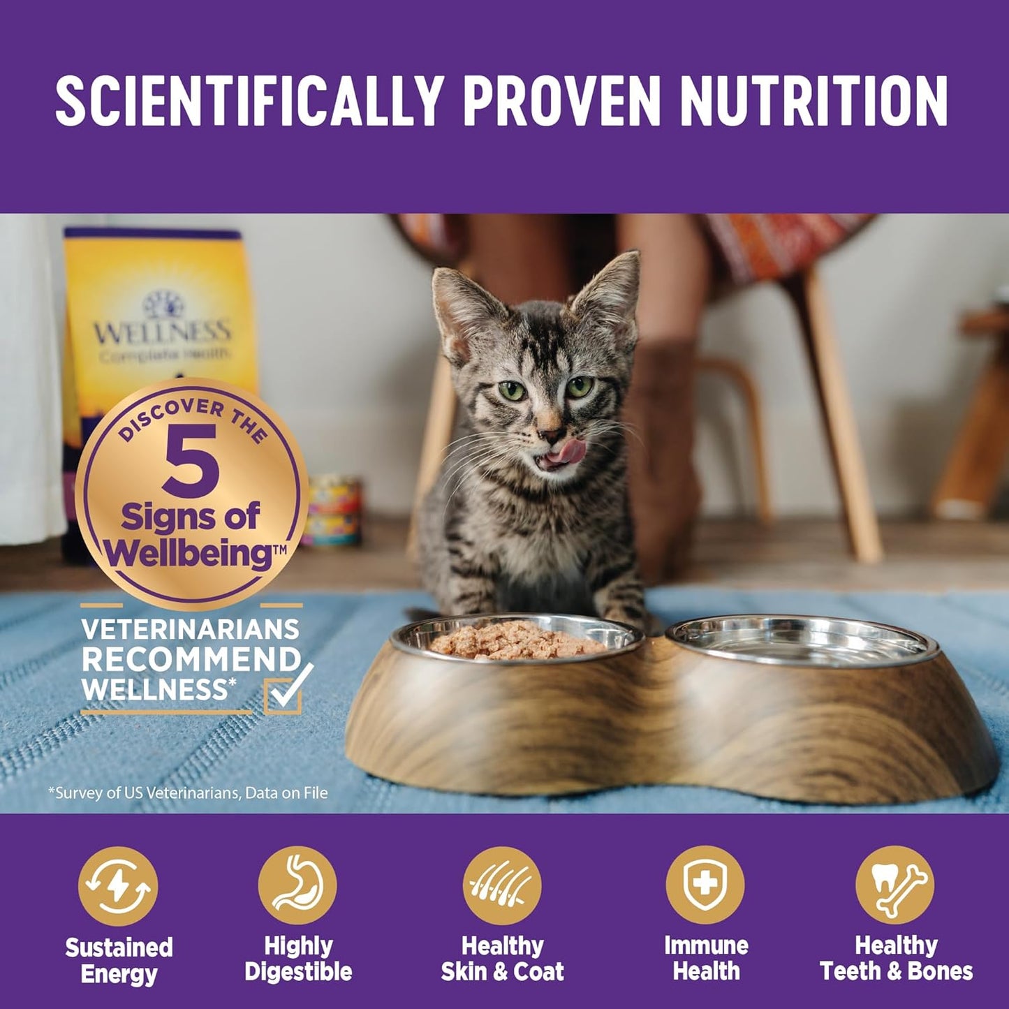Wellness Complete Health Gravy Adult Wet Cat Food, Natural, Protein-Rich, Grain Free, 3 Ounce, 12 Pack, (Chicken & Tuna Dinner)