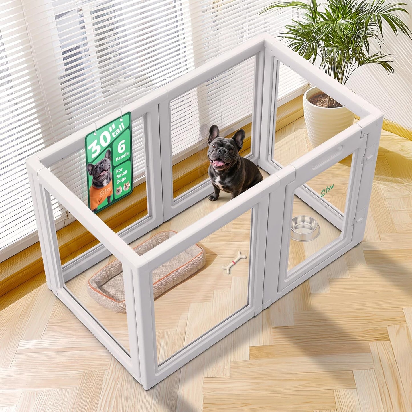 FXW AuraSpace Acrylic Indoor Unleashed Dog Playpen for Small and Medium Dogs, 30 Inch, 6 Panels, White