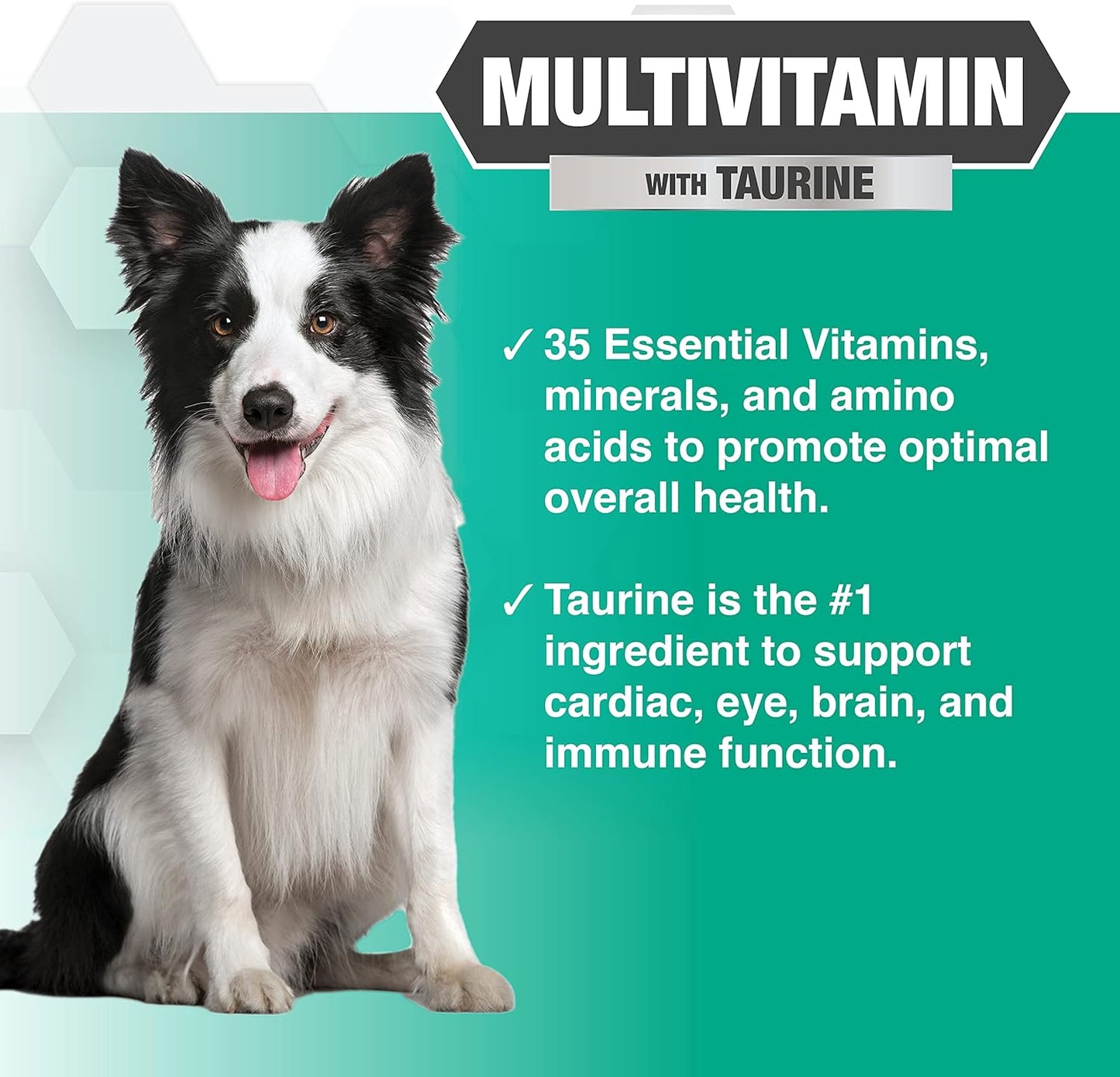 Nootie PROGILITY Daily Multivitamin Chews for Dogs - Supports Immunity, Heart, Eye, Brain, and Bone Health with Taurine- for All Dog Sizes - 90 Soft Chews. - Sold in Over 5,000 Pet Stores