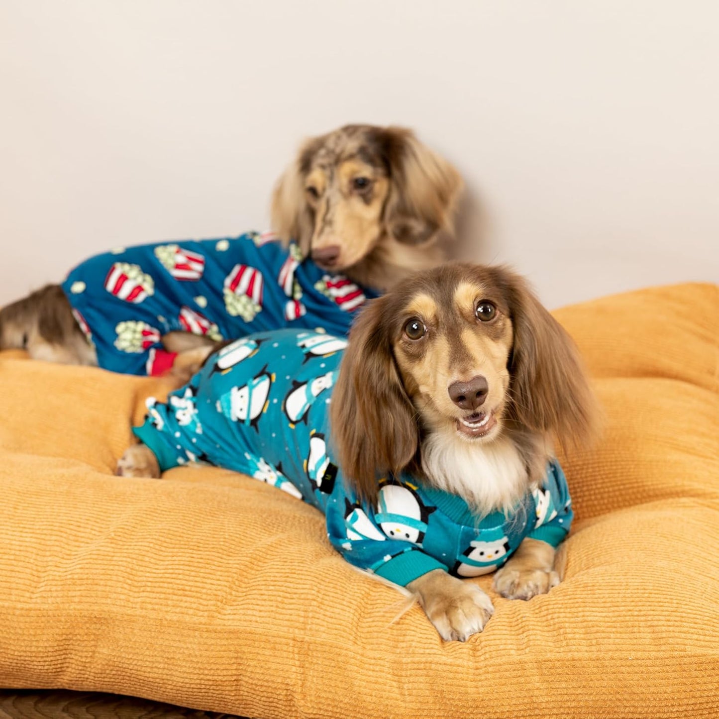 Fitwarm Cute Penguin Dog Pajamas, Dog Winter Clothes for Small Dogs Girl Boy, Cozy Dog Onesie, Soft Pet Jammies, Doggy Apparel, Teal Blue, XL