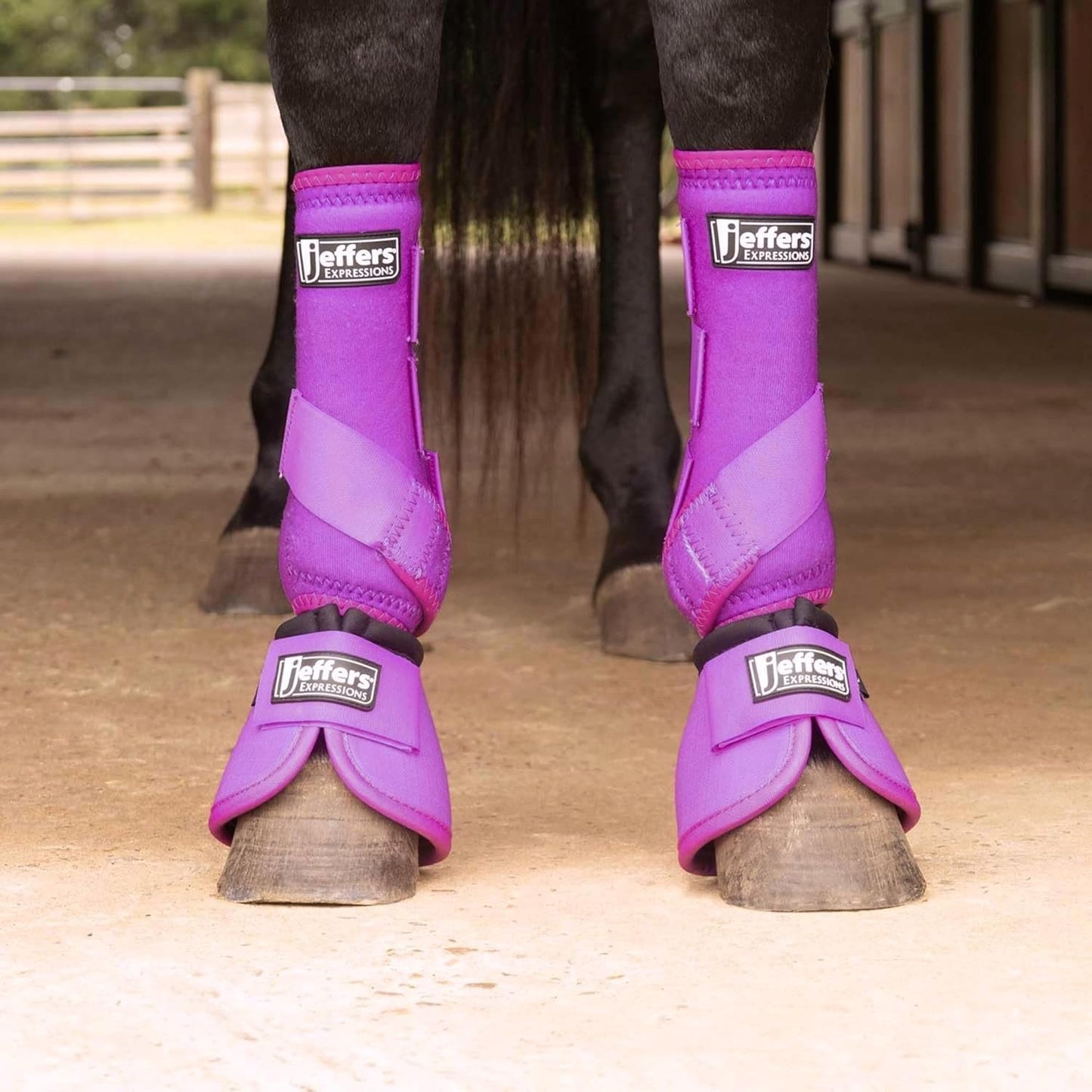 Jeffers Expression Neon Horse Boots 1 Pair - Purple & Pink, Breathable Neoprene, Secure Strap Closures, Durable Premium Protection for Jump Training & Trail Riding - Front & Hind, Medium Size