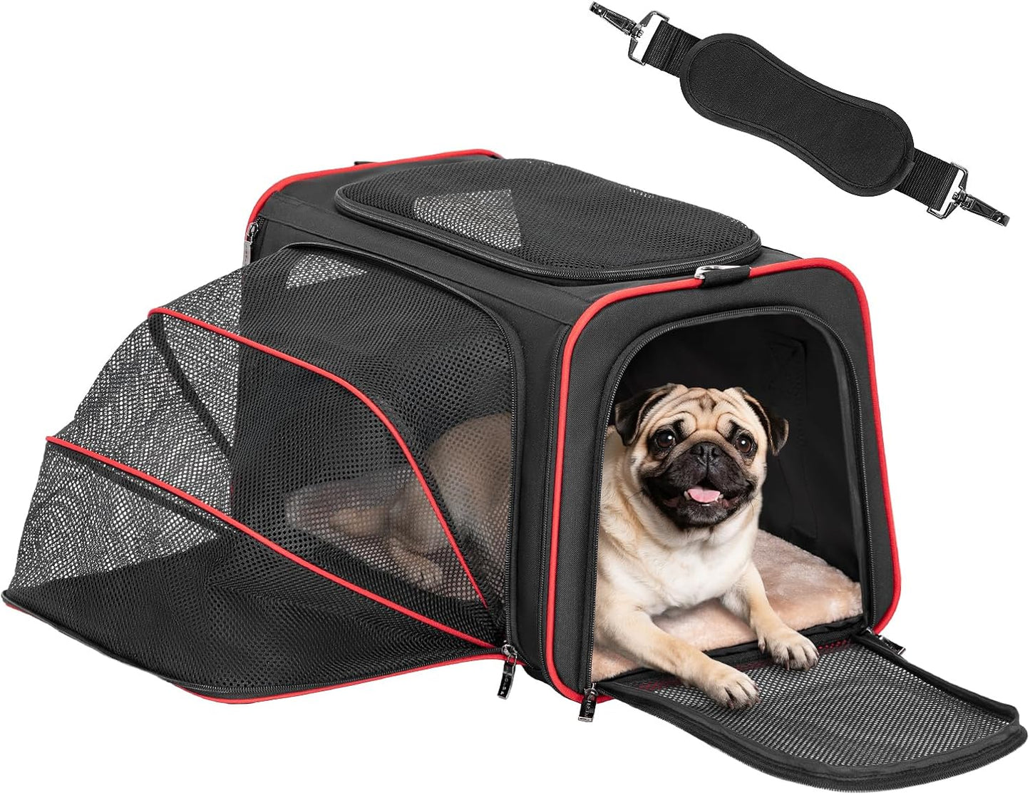 Petsfit Expandable Dog Carrier Large Cat Carrier, Soft-Sided Portable Collapsible Pet Travel Carrier for Kittens, Puppies or Small Animals, 19 x12x12 Inches, Black