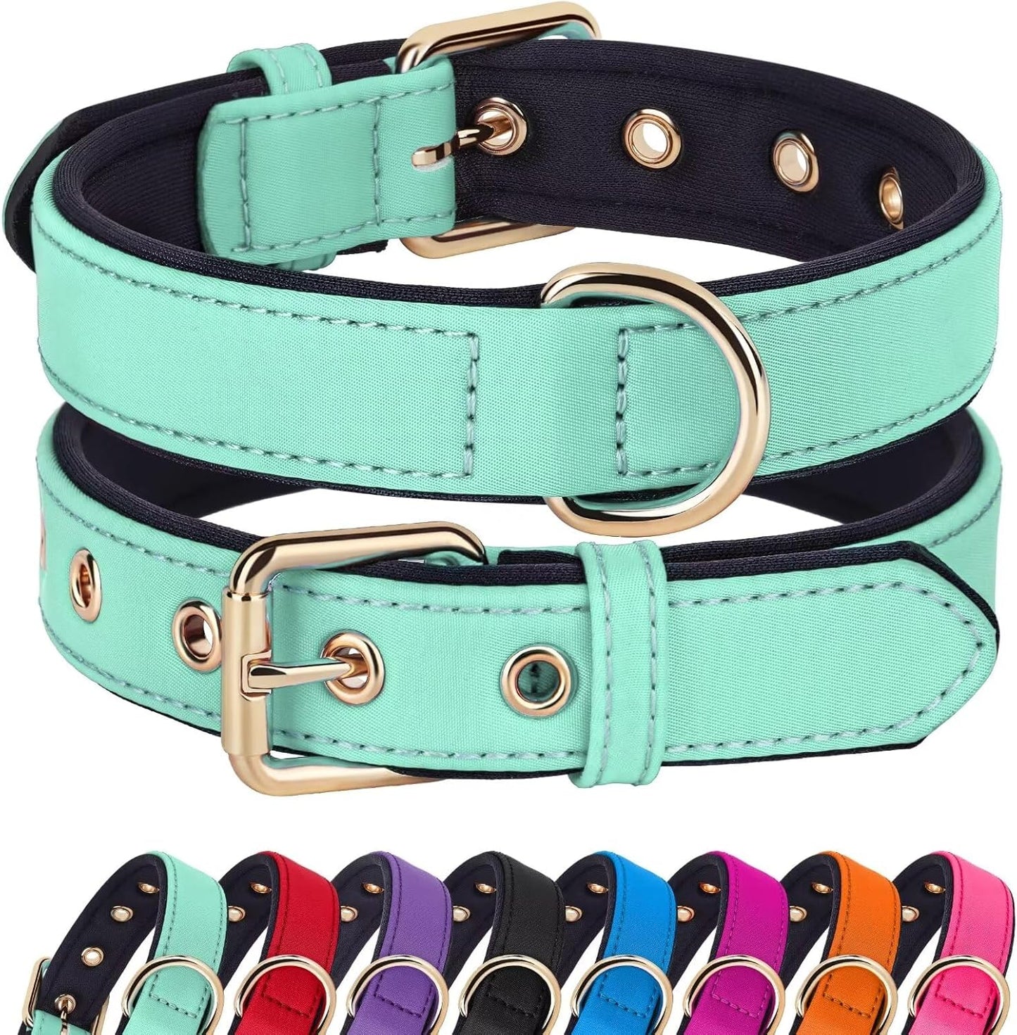 Didog Soft Padded Dog Collars for Small Dogs, Lightweight and Breathable Dog Collar with Metal Buckle, Green, M