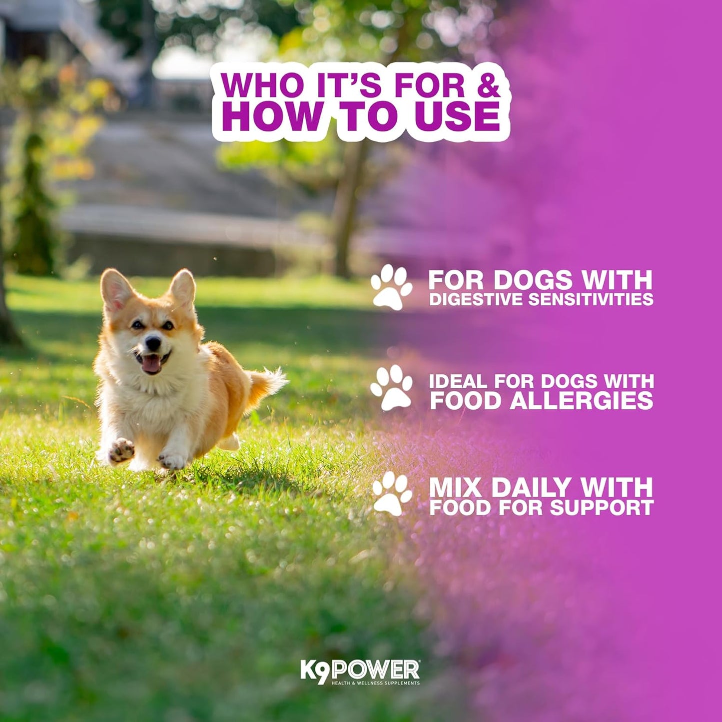 K9 Power Digest Forte for Dogs 1lb – Digestive, Immunity & Calming Support - Enhances Nutrient Absorption - Balances Gut Flora - Eases Discomfort & Boost Mood - Pack of 2