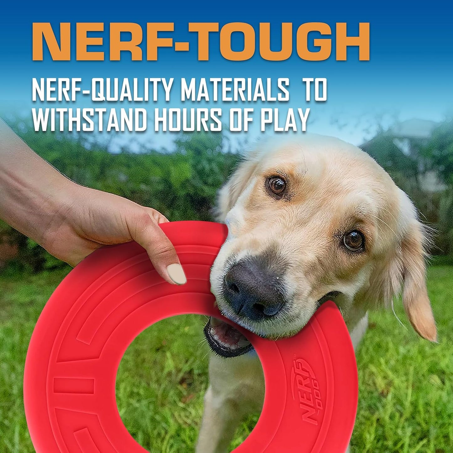 Nerf Dog Atomic Flyer Outdoor Dog Toy, 10 Inch Flying Disc Dog Fetch Toy, Rubber Dog Toy for Medium Dogs and Large Dogs, Red