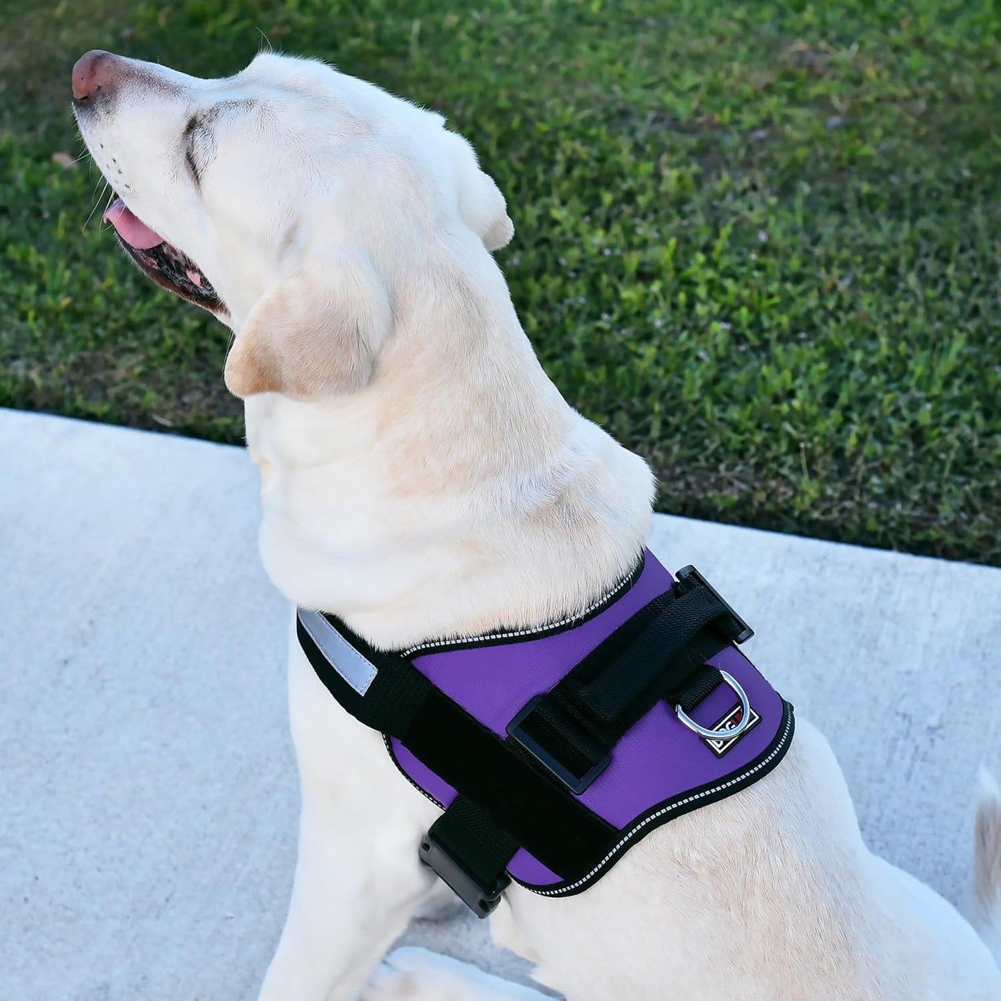 Dogline Dog Harness, Reflective No-Pull Adjustable Vest with Handle for Walking, Training, Breathable, No - Choke Harness for Small, Medium or Large Dogs Room for Patches Girth 33"-46" in Purple