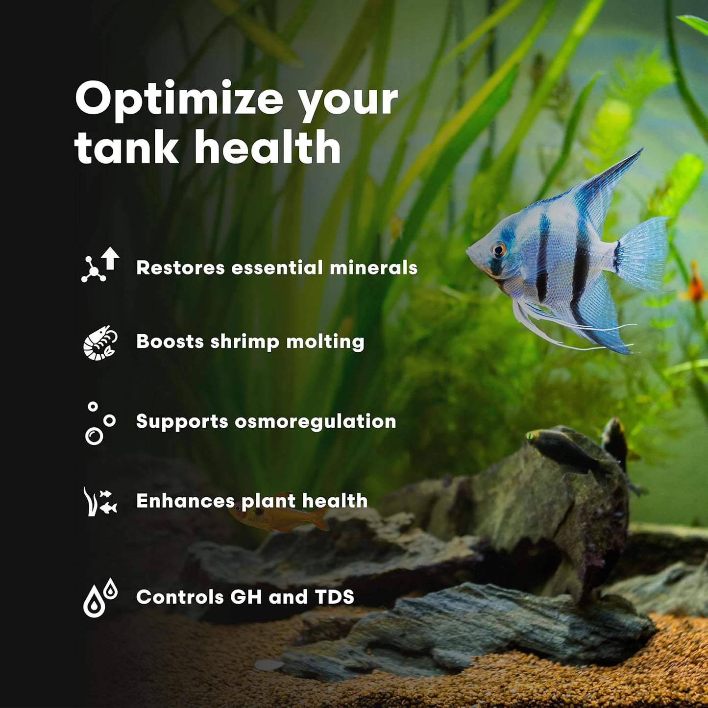 Brightwell Aquatics Caridina GH+ Mineral Supplement Restores Calcium Magnesium Potassium Sodium in Soft RO/DI Water for Shrimp Breeding and Plant Health, 500 ml